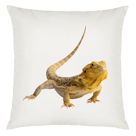 plush bearded dragon