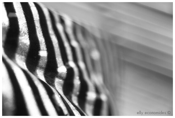 Modern wall art, abstract photography, fine art photography, black and white, abstract, leaf, leaves, abstract wall art, 035. 'Abstract 3'