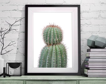 Cactus Art, Succulent Art, Cactus Print, Wall Art, Desert Wall Art, Prints, Botanical Art, Cactus Poster, Cactus Photography, Cactus, 101
