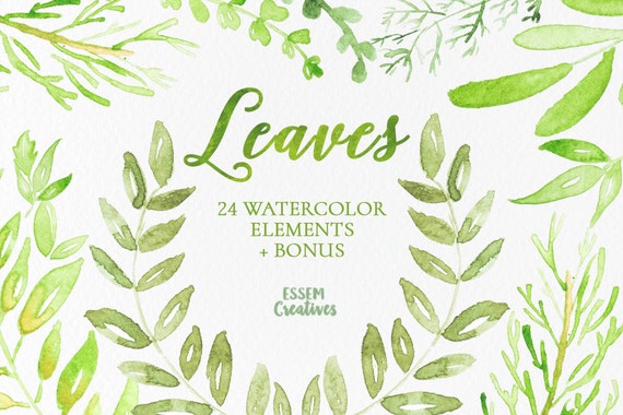 watercolor leaves clipart - photo #43
