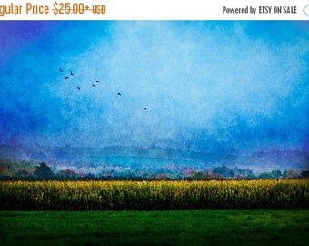 20% Off Sale Landscape Photography Texas Live by slightclutter