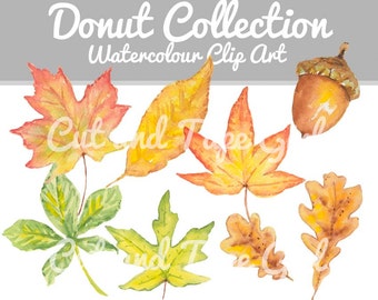Leaf Watercolor Clip Art - Autumn Leaves Clipart, Watercolor Clip Art, Maple Leaf, Hand Drawn, Acorn Watercolour