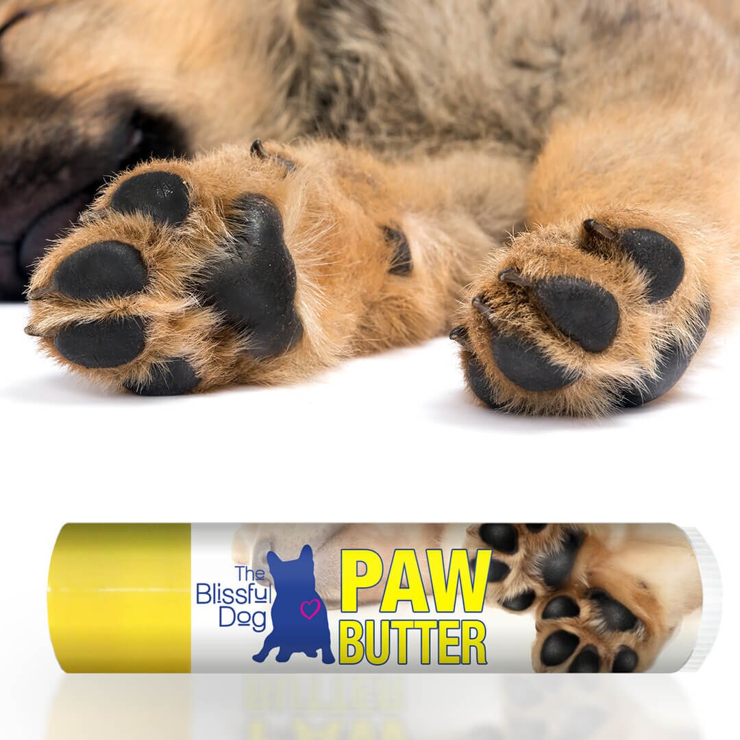 DOG PAW BUTTER All Natural Handcrafted Moisturizing Treatment