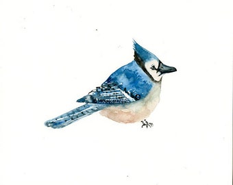 BLUEJAY Original watercolor painting 10x8inch