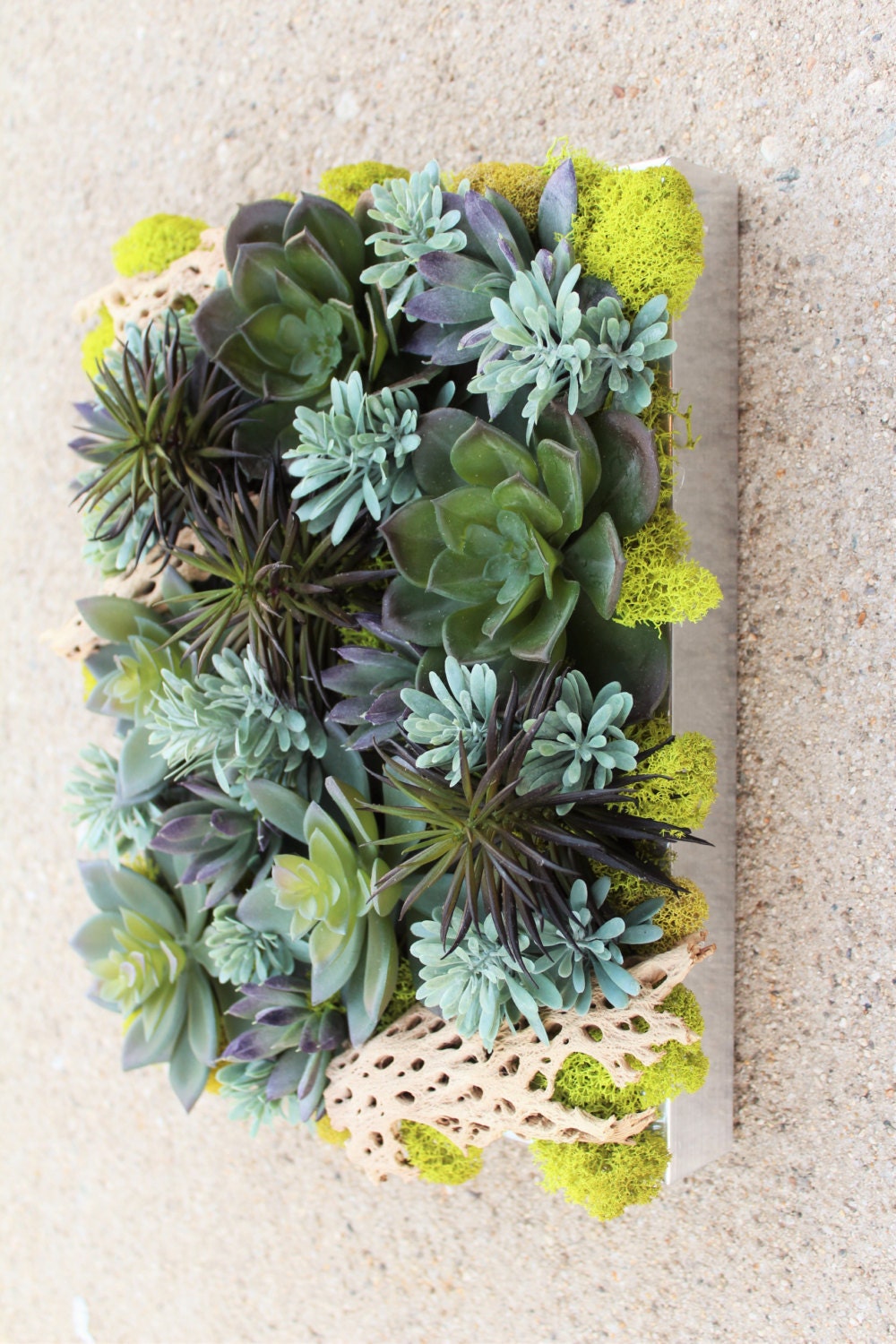 Sale Faux Succulent Wall Hanging Frame with by KIFDesigns on Etsy
