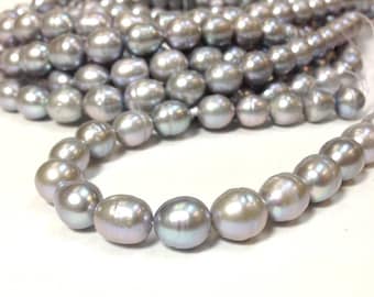 10 x 11 to 12 mm Freshwater Pearl Rice Beads - Silver Gray Pearl Full Strand (ET0458W58)