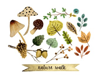 Fall clipart, watercolor fall clipart, mushroom clipart, forest clipart, nature clipart, hand painted fall clipart,