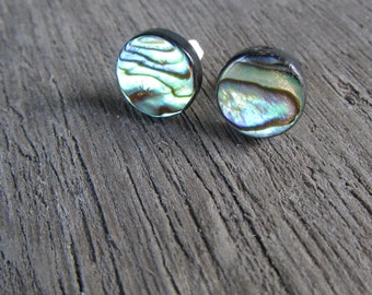 Abalone Stud Earrings Paua Shell post earrings silver 12 mm