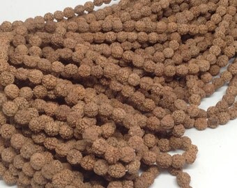 Rudraksha (Rudraksh) Shivas Tears Natural Seed Beads 10 Strands (1080 Beads) 8mm 9mm from Vrindavan Wholesale Bulk