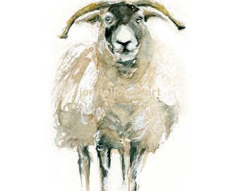 Watercolor Sheep, Sheep Print, Sheep Art, Farm Animal Art, Farm Animal Print