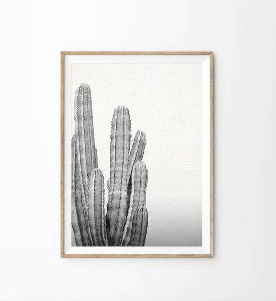 Black and White Cactus Art Print Printable Art
