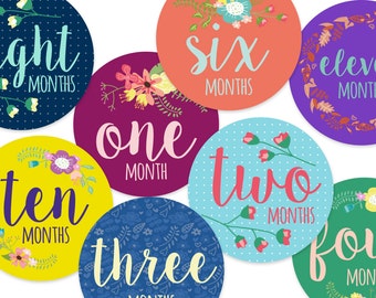 Instant Download: DIY Printable Baby Monthly Stickers Baby