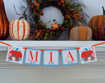 Little Pumpkin Banner, Fall Birthday Banner, Fall Customized Banner, Pumpkin Personalized Sign, P057