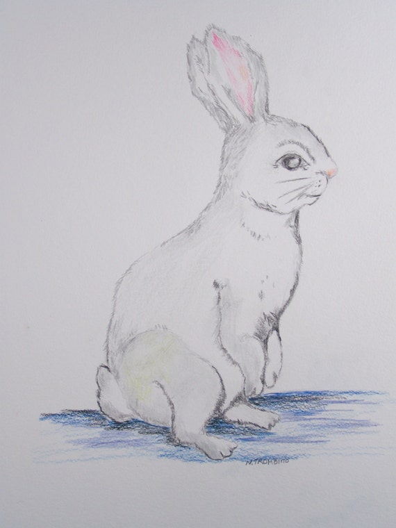 Bunny Colored Pencil Drawing Original