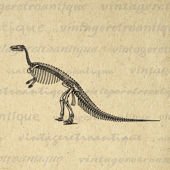 Dinosaur Skeleton Printable Graphic by VintageRetroAntique on Etsy