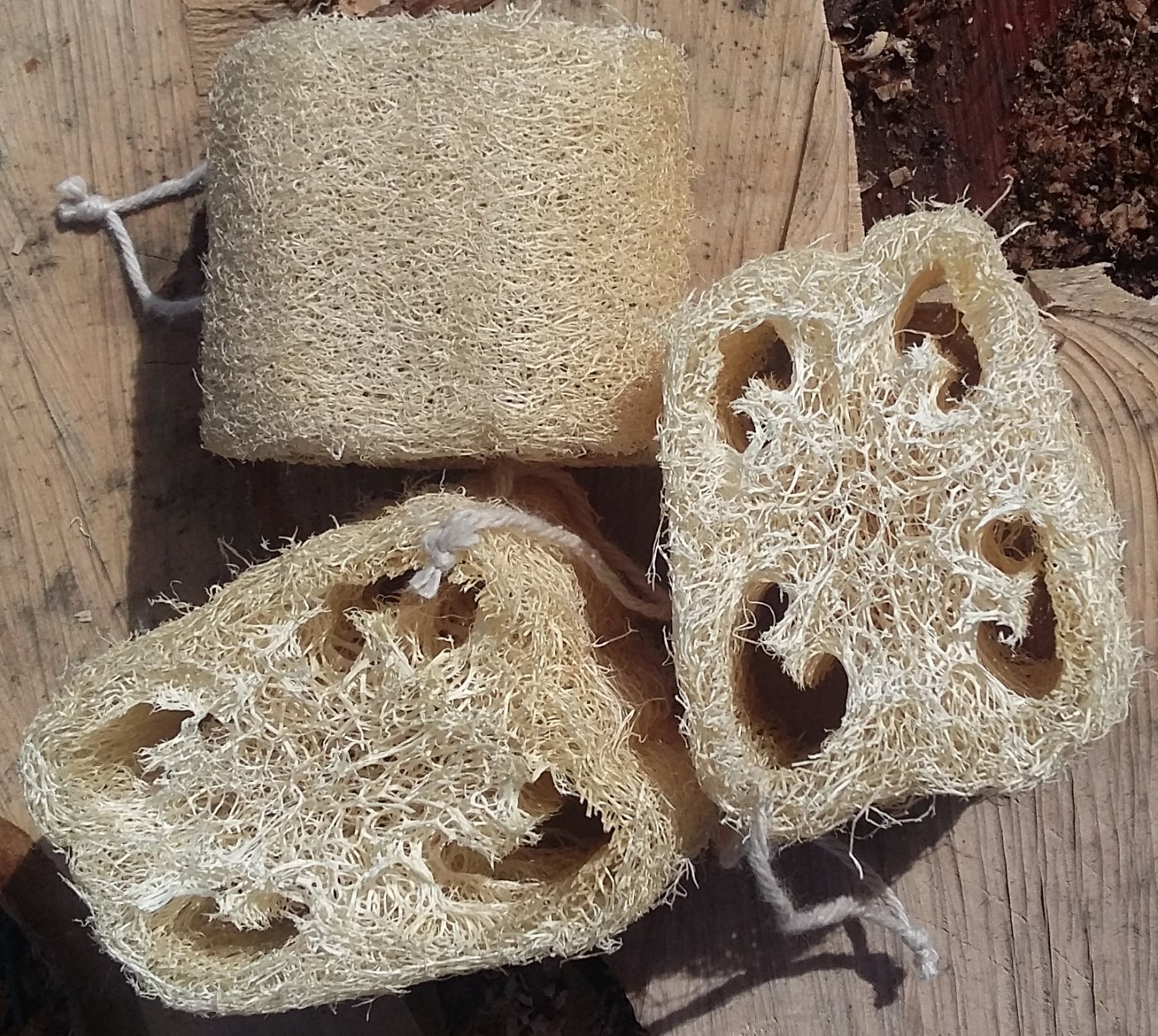 All natural loofah sponge