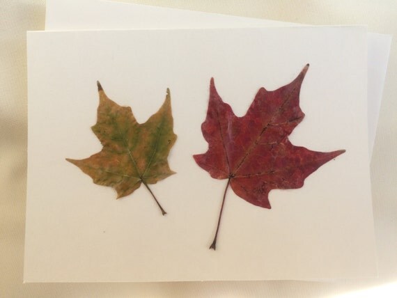 natural pressed leaves card maple notecard dried pressed fall pressed leaves