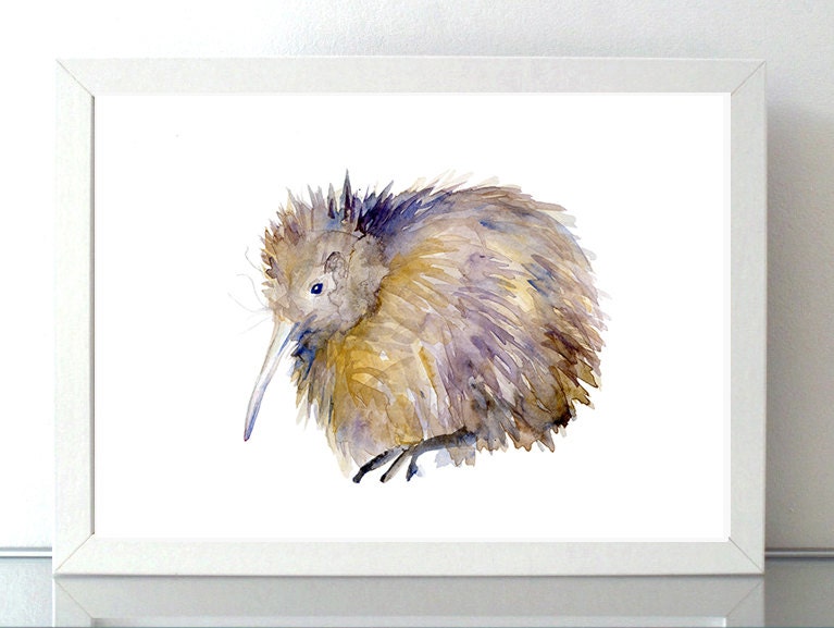 Kiwi Bird Art New Zealand Art Kiwi painting watercolor