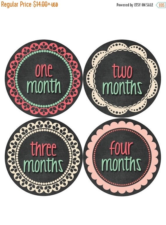 Monthly Baby Stickers Baby Month Stickers Baby by MonthsinMotion