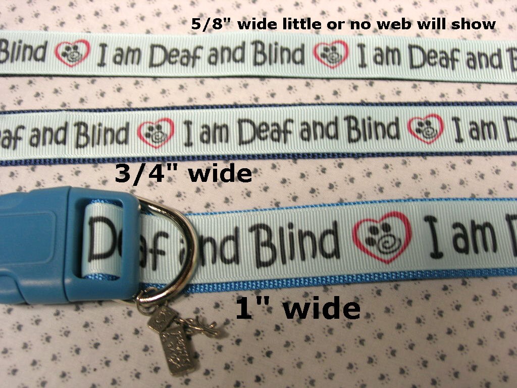 I am Deaf & Blind adjustable dog or cat collar Love is Blind