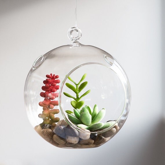 Huge 7 Round Glass Terrarium woodland fairy desert