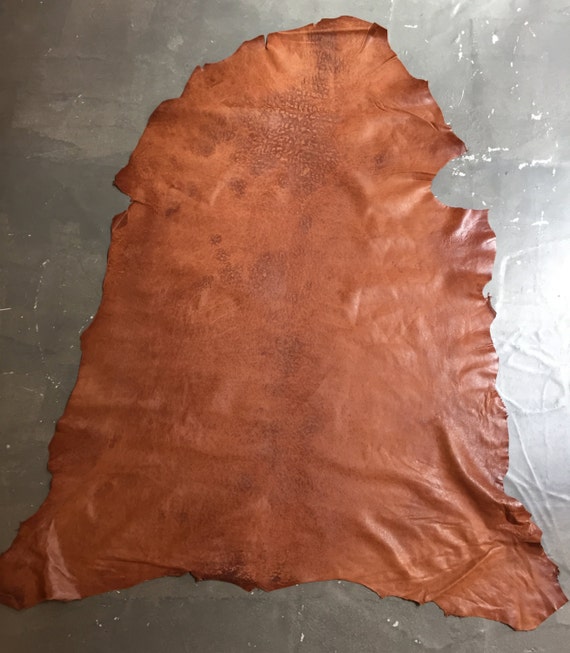 Full Hide of camel brown leather hides in by