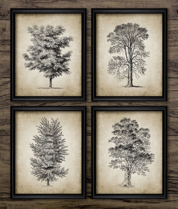 Vintage Tree Print Set of 4 Tree Illustration Tree