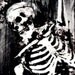 Skelly Skelly