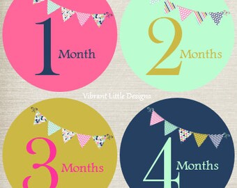 Baby Month Stickers Girl, Milestone Stickers, Month Stickers, Monthly Baby Stickers, Baby Stickers, Bunting #129