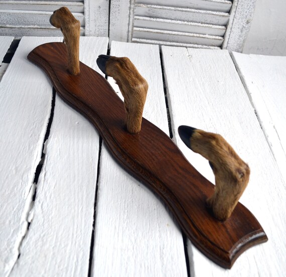 French Vintage Deer Hoof Coat Rack Coat Hooks Deer Hooves Gun