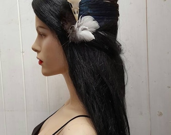 Beautiful magpie wing and skull fascinator, taxdermy, real bird wings, real bird skull
