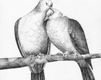 Love Doves - 8" x 10" Print