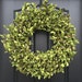 Spring Decor - Faux Boxwood Wreath with Berries - Boxwood Wreath - Door Wreaths