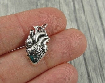 Anatomical Heart Charm - Sterling Silver Anatomical Heart Charm for Necklace or Bracelet