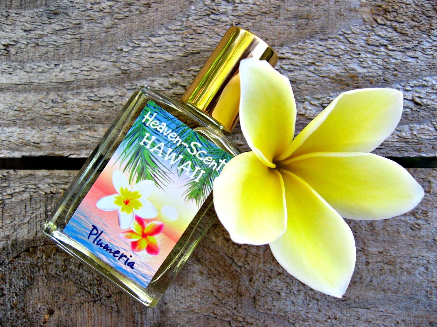 PLUMERIA PERFUME. CustomBlended Rollon Perfume. Made in