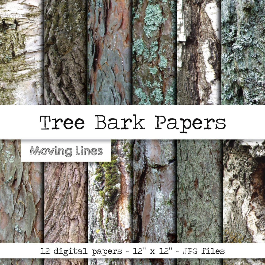 Tree Bark Digital Papers Wood Overly Forest Woods