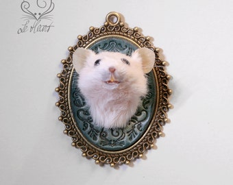 Taxidermy Mouse Head Mount - Turquoise