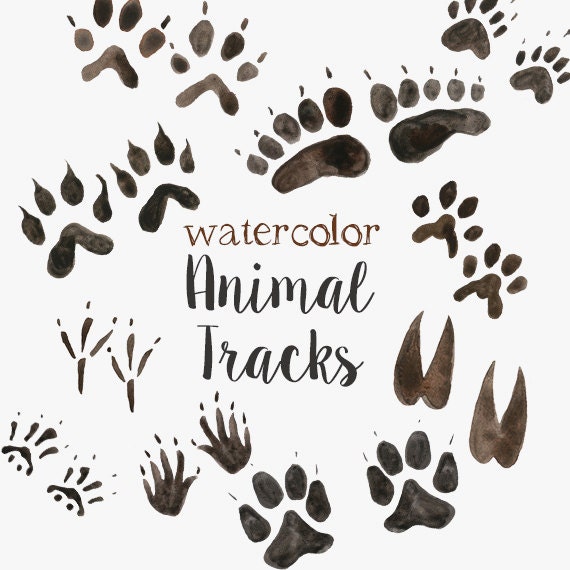 animal tracks clipart - photo #50