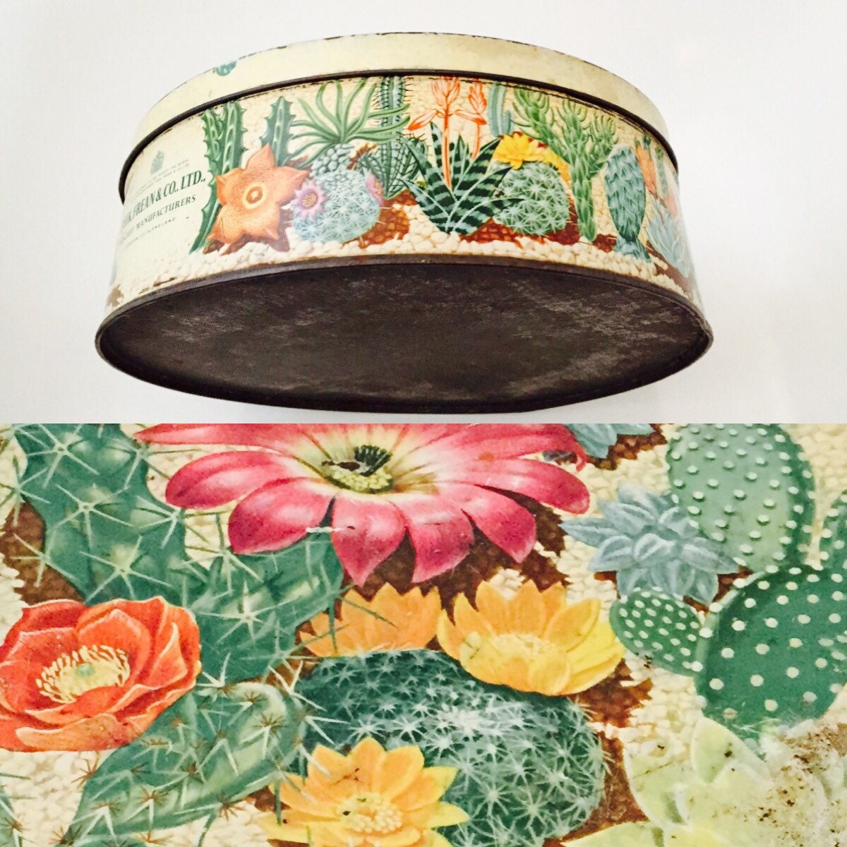 Peek, Frean & Co, Ltd. Vintage Cacti Tin. Large, Round Metal Tin with Cactus Plants Haute Juice
