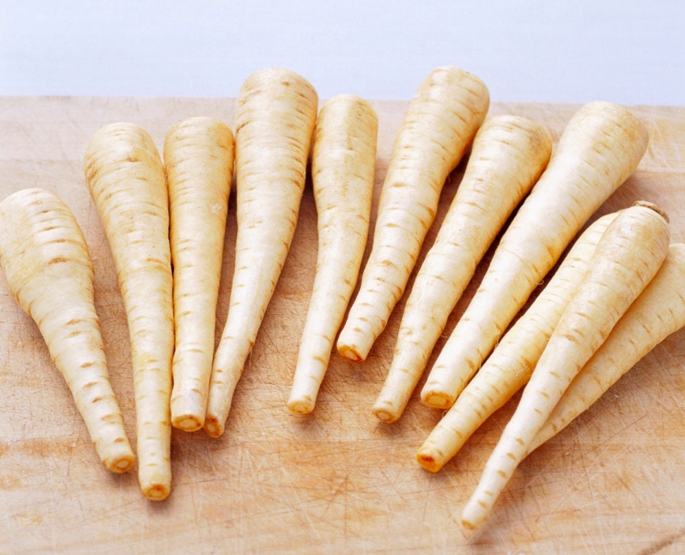 Parsnip All American Heirloom 100 Thru 1/2 LB Seeds Buy Bulk