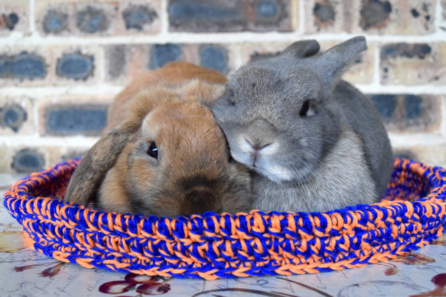 Pet rabbit bed pet bunny bed crochet pet bed by HealthyNibbles