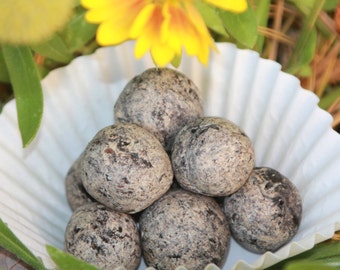 Monarch Butterfly Seed Bombs 12ct