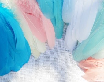 Colored Feathers for Craft Projects - Plain Feathers