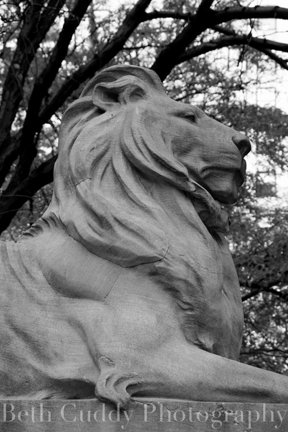 Lion Statue New York Public Library NYC Stone Sculpture