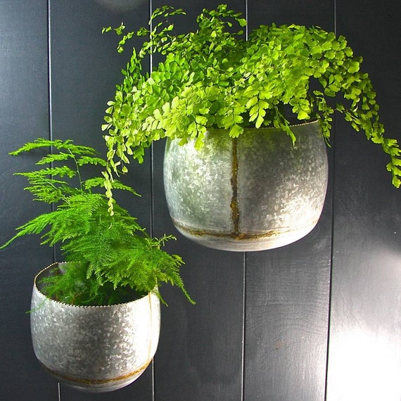 Set of 2 Galvanised Steel Wall Planters LTZKR002