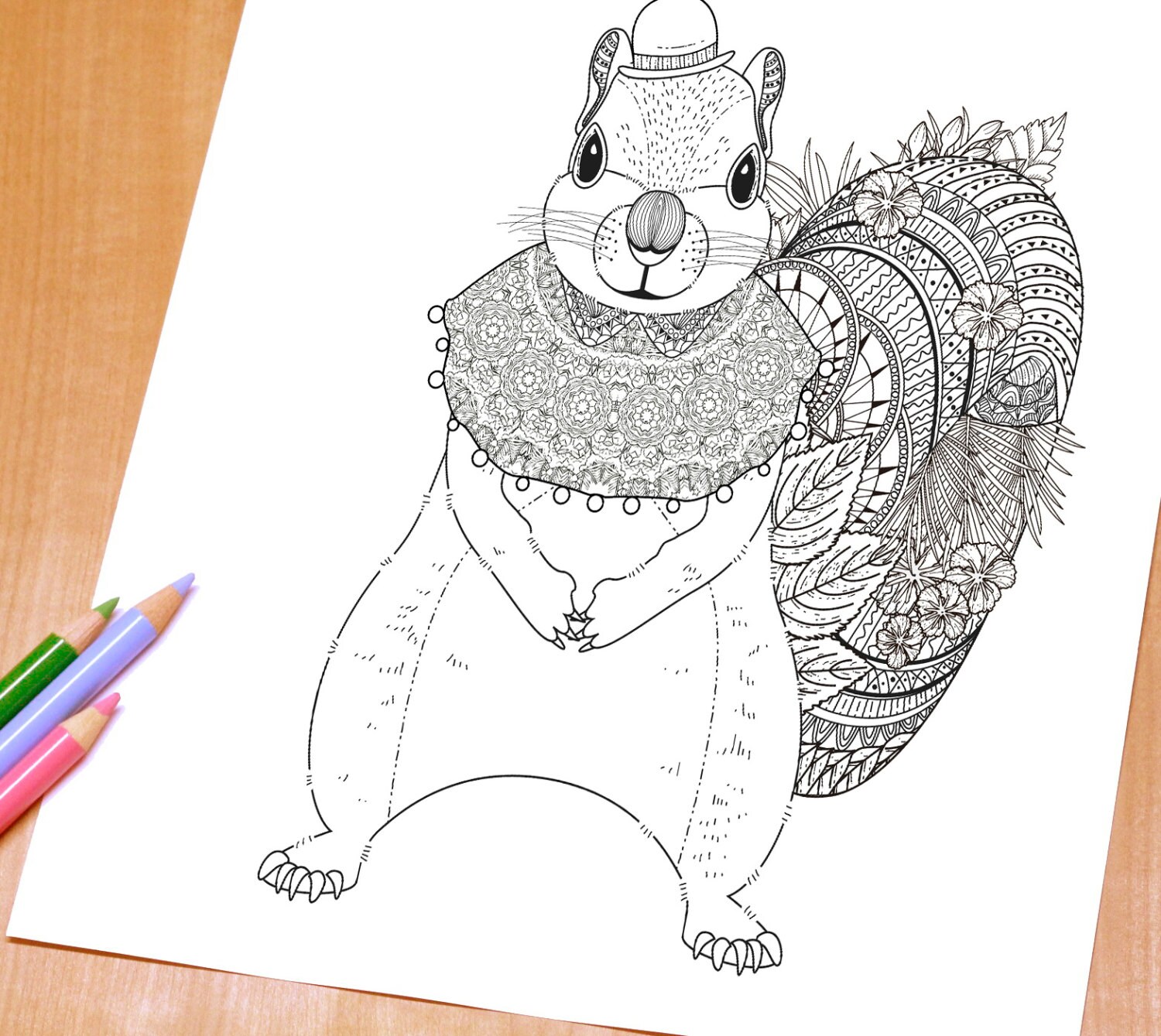 Lovely Squirrel Adult Coloring Page Print