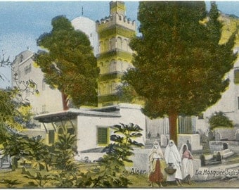 Alger ALGERIA La Mosquee Sidi-Abderhaman VINTAGE POSTCARD Carte Postale
