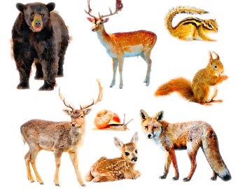Woodland Animals Clipart Set - clip art set of woodland animals - bear, deer, fox, snail, squirrel, commercial use ok