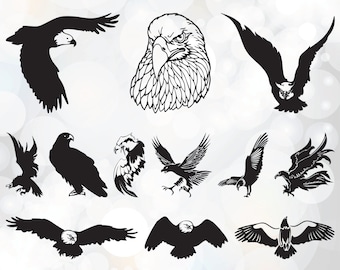 American Bald Eagle SVG file pack - Eagles SVG File - Cutting Template - Vector Clip Art for Commercial & Personal Use - Cutting Files