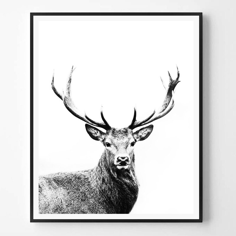 Deer Print Black and White Photography Minimal photo Deer